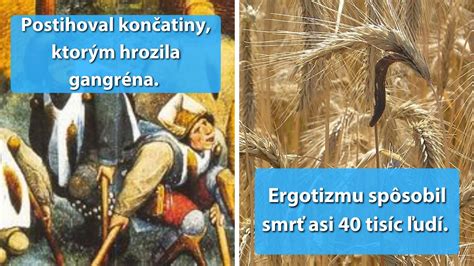 Stredoveké ochorenia: Ergotizmus
