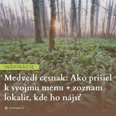 Symbolický obrázok rozlúčky a spomienky