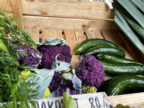 Ilustrácia farmárskeho trhu s čerstvou zeleninou a ovocím