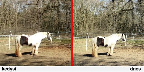 Porovnanie fotografie a jej reprodukcie maľovaním podľa čísel