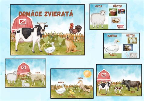 Ilustrácia zvierat a ich mláďat