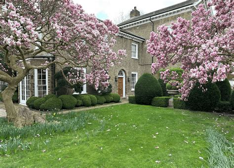 Dom Garden Lodge