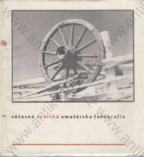 Súčasná fotografia Mateja Jurkoviča