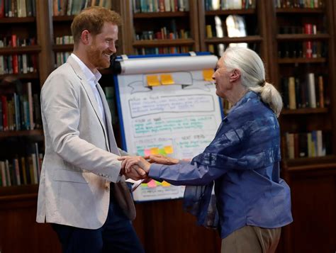 Princ Harry a Dr. Jane Goodall