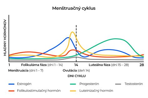 Mesačný cyklus a vplyv na človeka