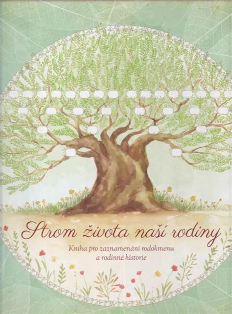 Ilustrácia znázorňujúca hodnotu života a rodiny