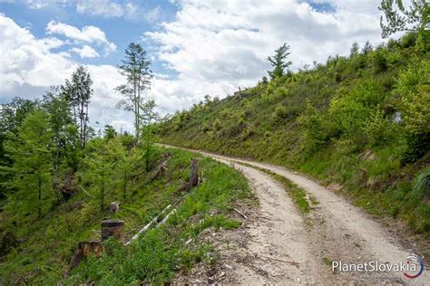 Cesta v miernom teréne