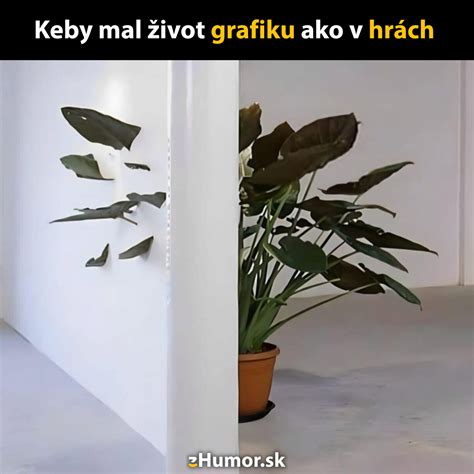 Grafika znázorňujúca rovnováhu v živote