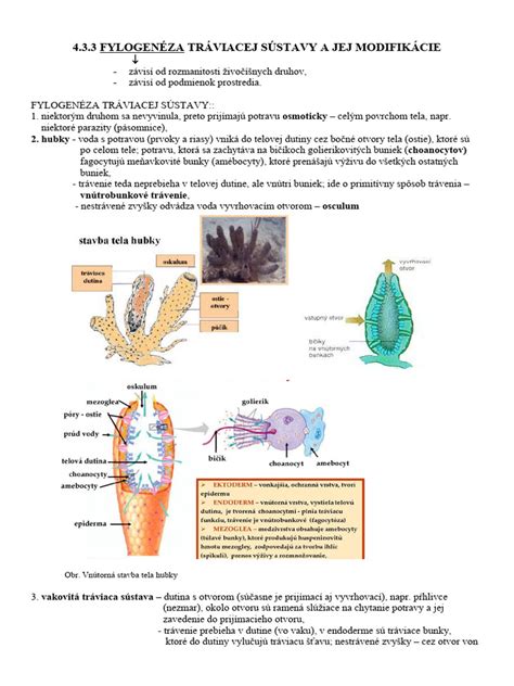 Ilustrácia rodiny tráviacej čas spoločne bez technológií