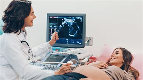 schéma orgánov plodu na ultrazvuku