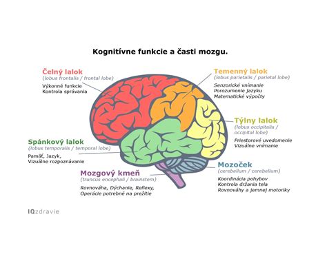 Infografika zobrazujúca diagnostické kroky pri otravoch mozgu